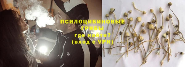 твердый Осташков