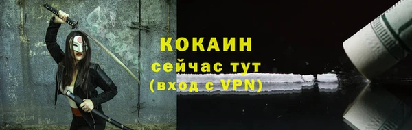 твердый Осташков