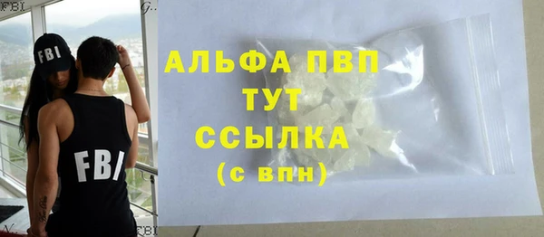 ПСИЛОЦИБИНОВЫЕ ГРИБЫ Осинники