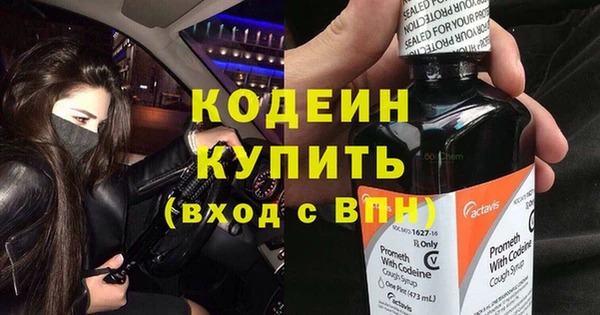 ПСИЛОЦИБИНОВЫЕ ГРИБЫ Осинники