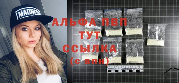 ПСИЛОЦИБИНОВЫЕ ГРИБЫ Осинники