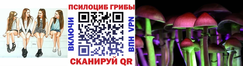 Псилоцибиновые грибы прущие грибы  купить закладку  Борисоглебск 