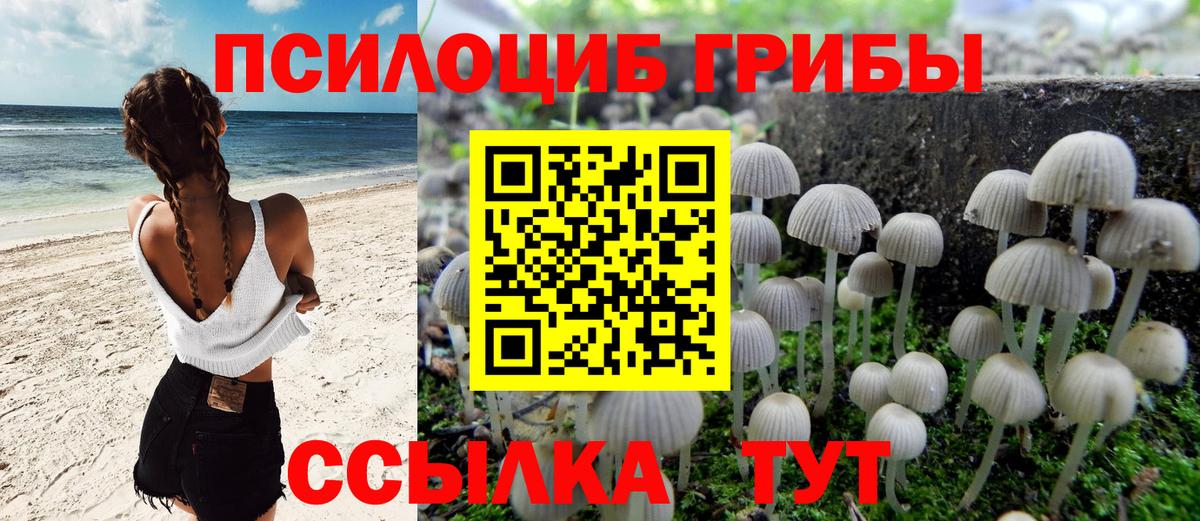 Борисоглебск  Псилоцибиновые грибы Psilocybe  Галлюциногенные грибы Cubensis  Вход с VPN 